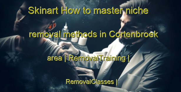 Skinart How to master niche removal methods in Cortenbroek area | RemovalTraining | RemovalClasses | SkinartTraining-Belgium